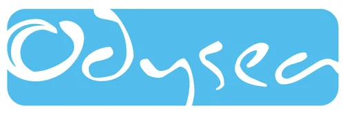 Odysea Surf School